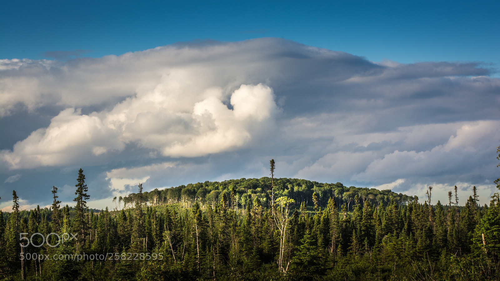 Nikon D5200 sample photo. Away in the new-brunswick photography
