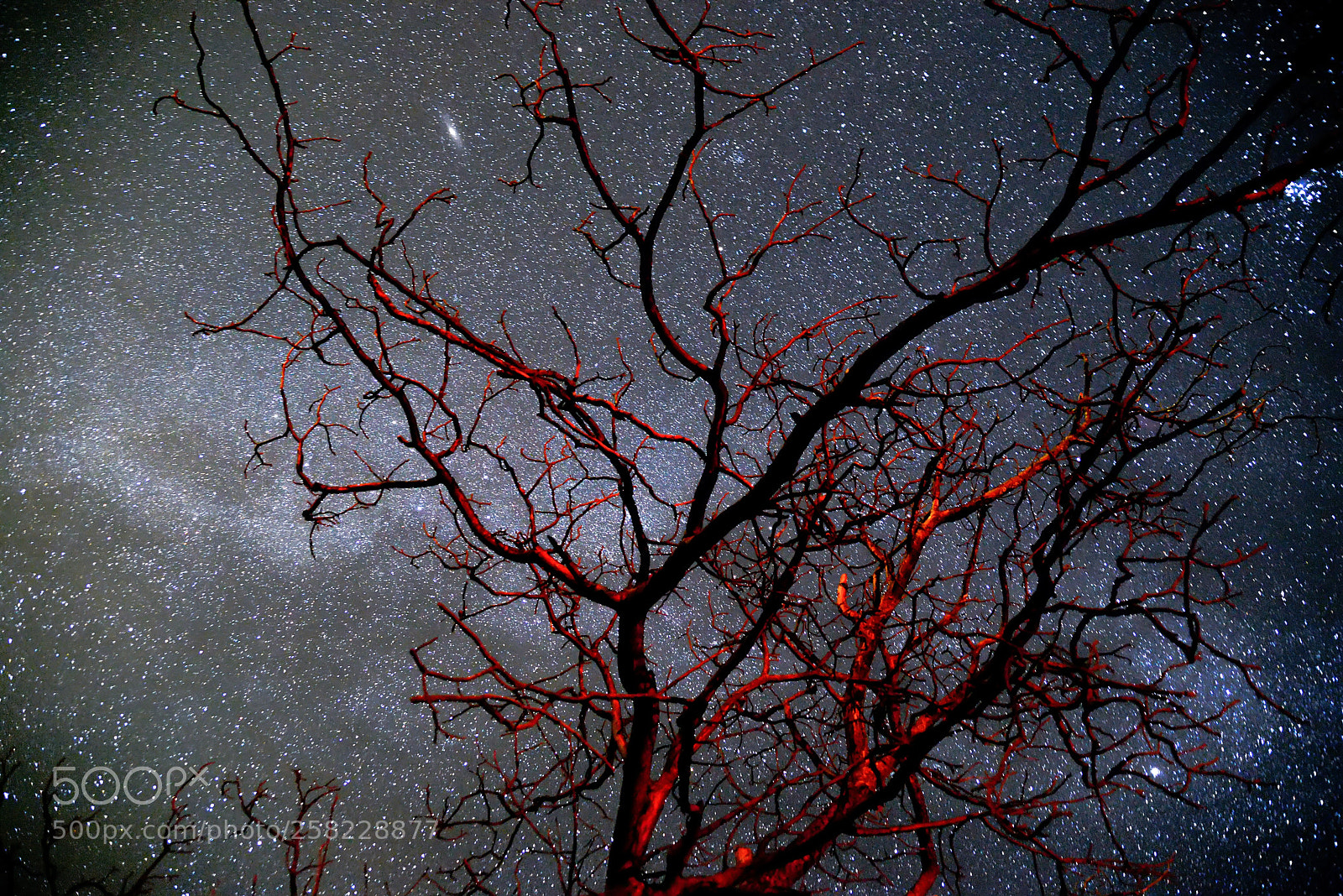 Nikon D800 sample photo. Galaxy milkyway.lugu lake photography