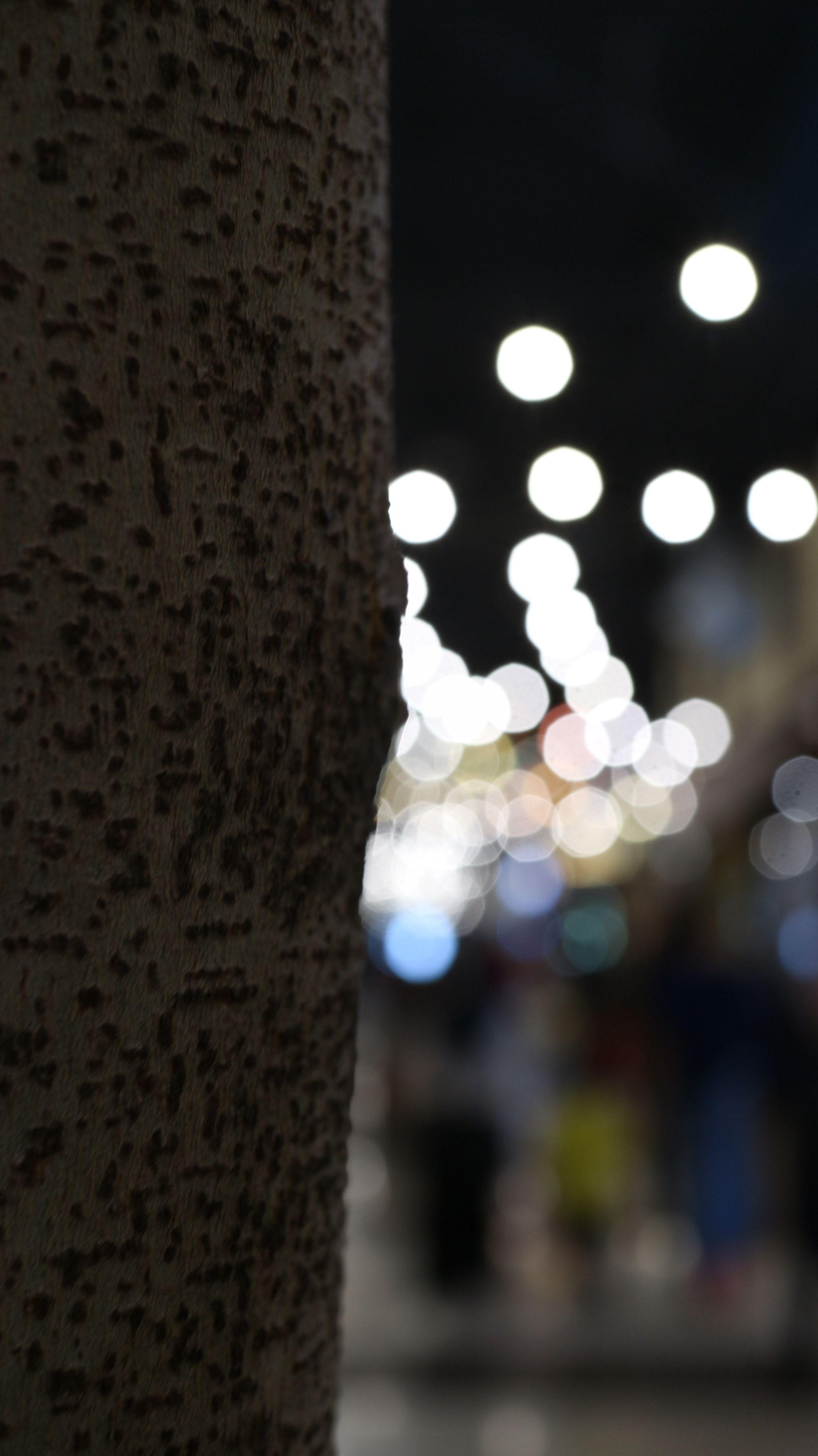 Canon EOS M10 + Canon EF-M 22mm F2 STM sample photo. Lampu bokeh photography