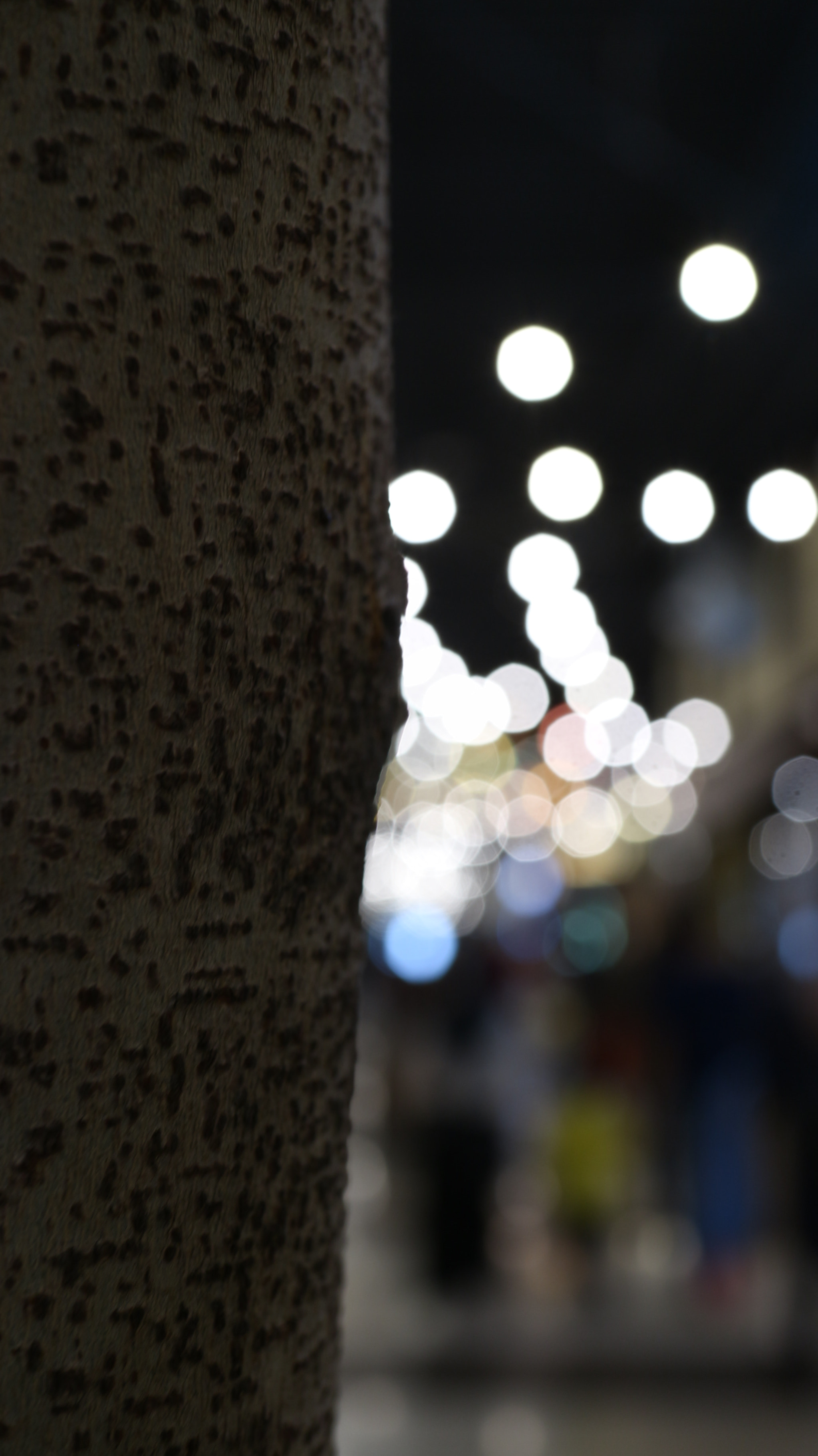 Canon EOS M10 sample photo. Lampu bokeh photography