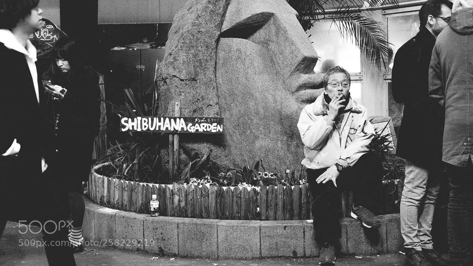 Sony a7 II sample photo. Shibuhana garden photography