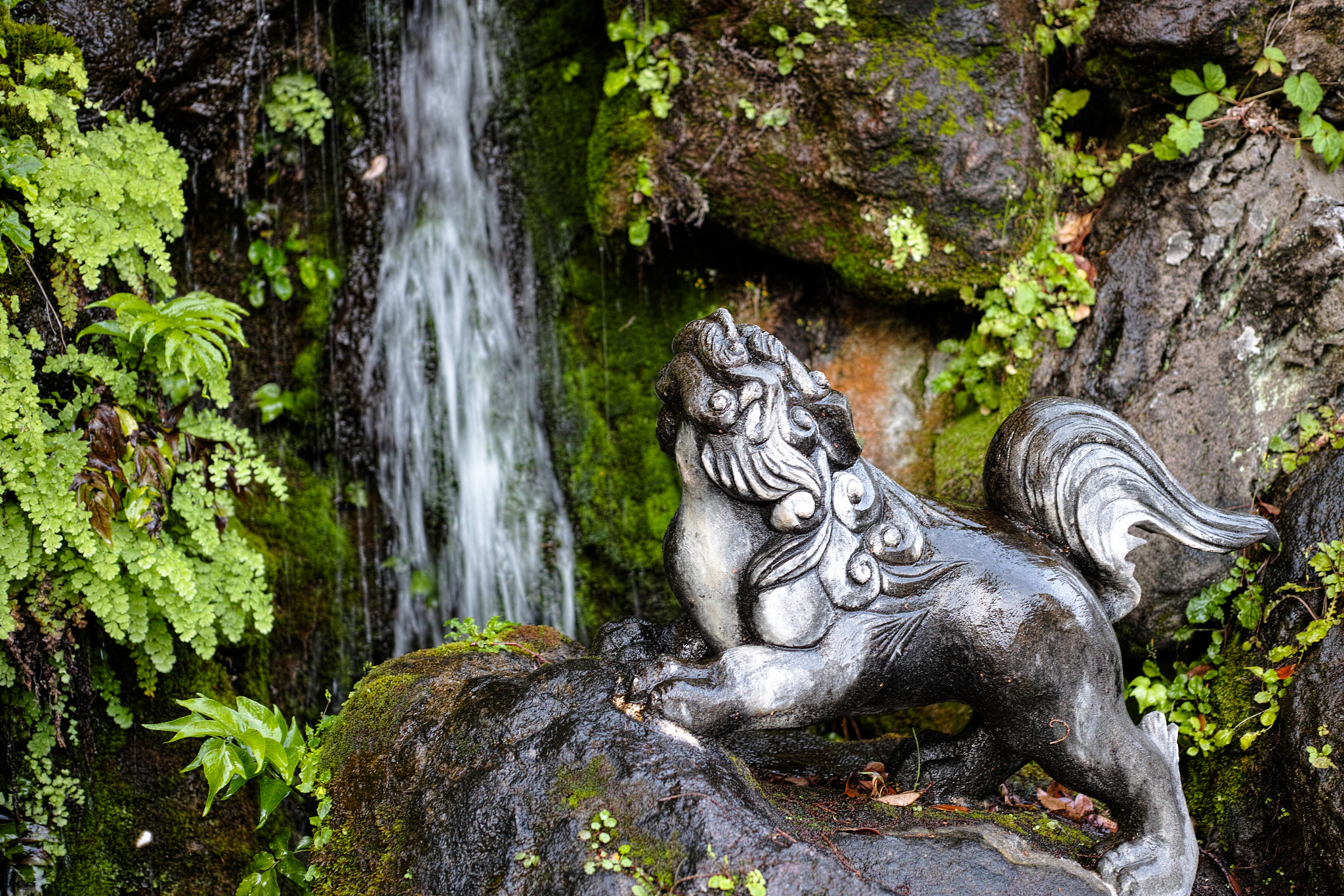 Sigma DP2 Merrill sample photo. Komainu photography