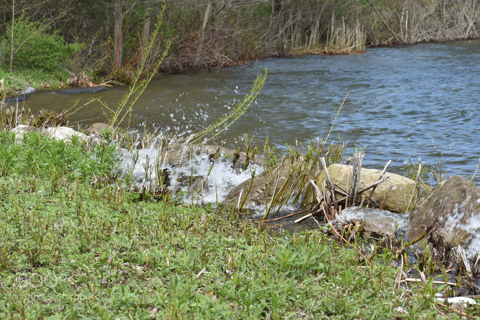 Nikon D3400 sample photo. Shoreline photography