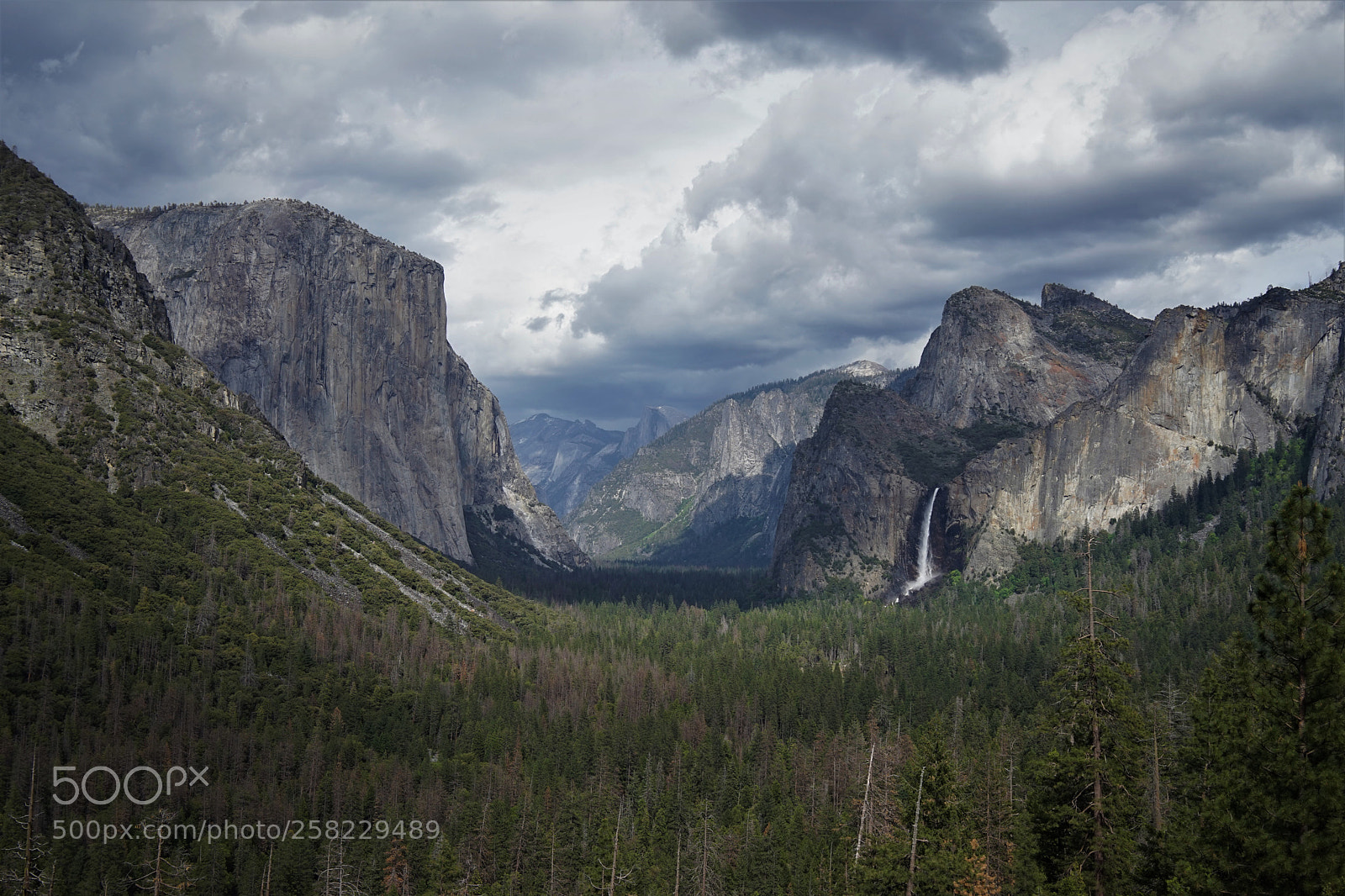Sony a7 sample photo. Valle de yosemite photography