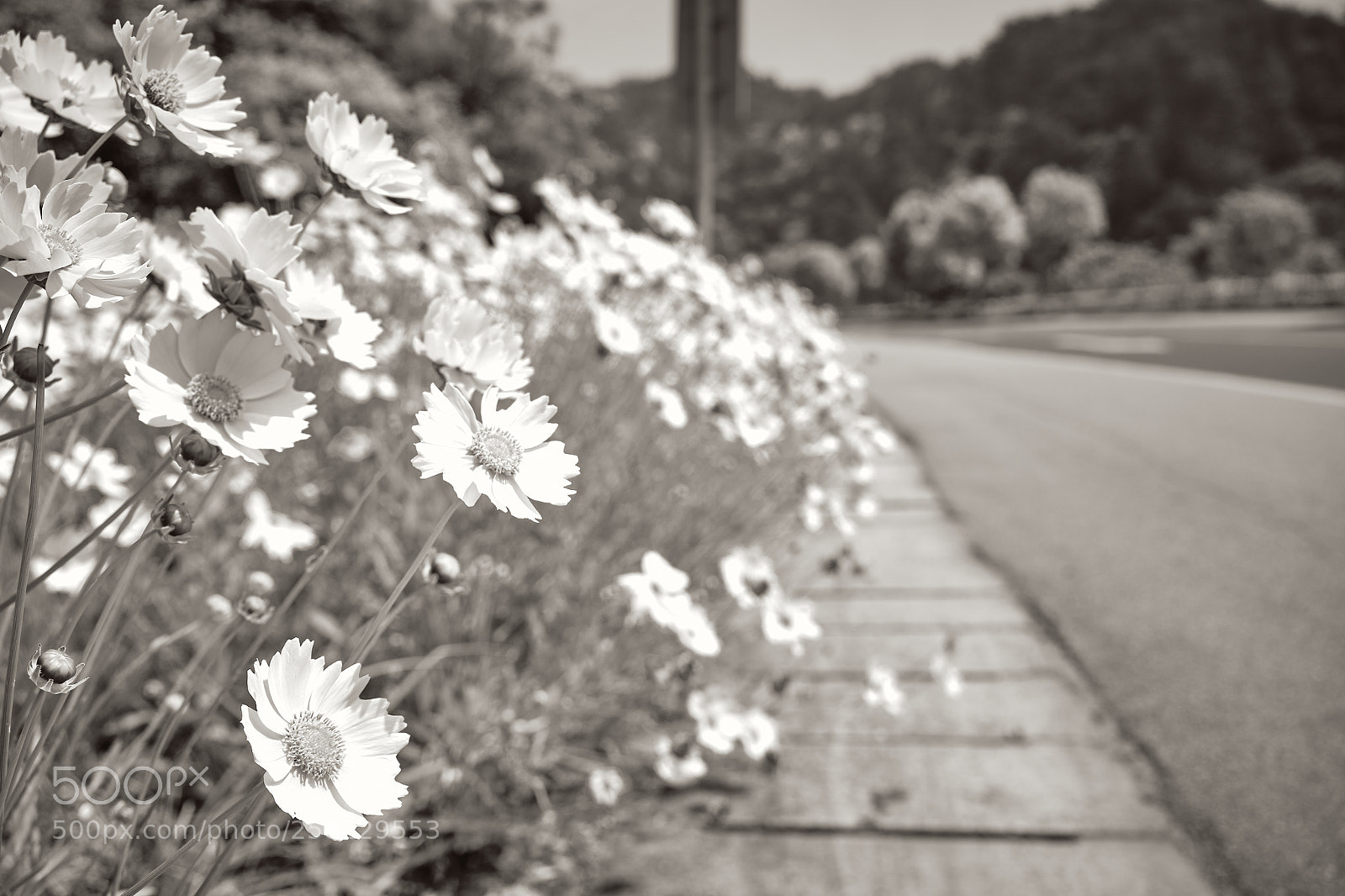 Sony a7 sample photo. 20180510-103517034.jpg photography