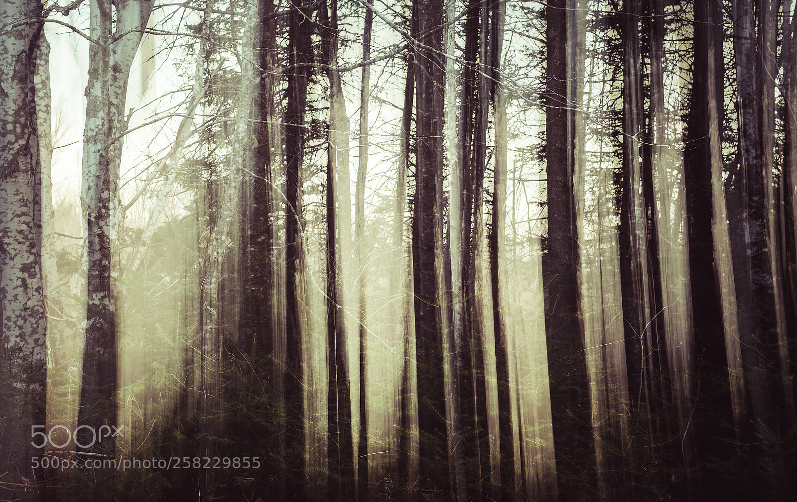 Fujifilm X-E3 sample photo. Mullriverdblexp photography