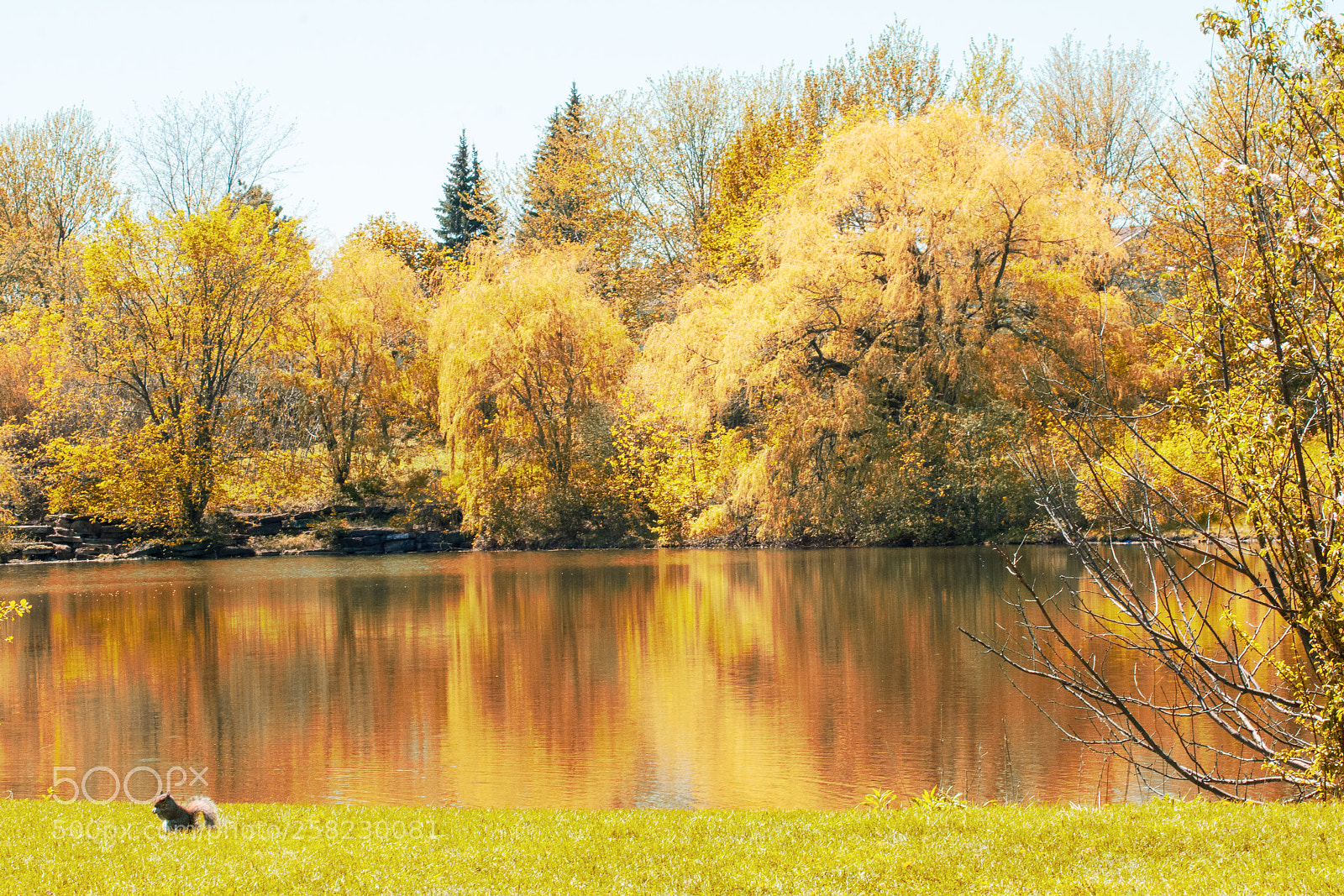 Nikon D3400 sample photo. By the lake photography