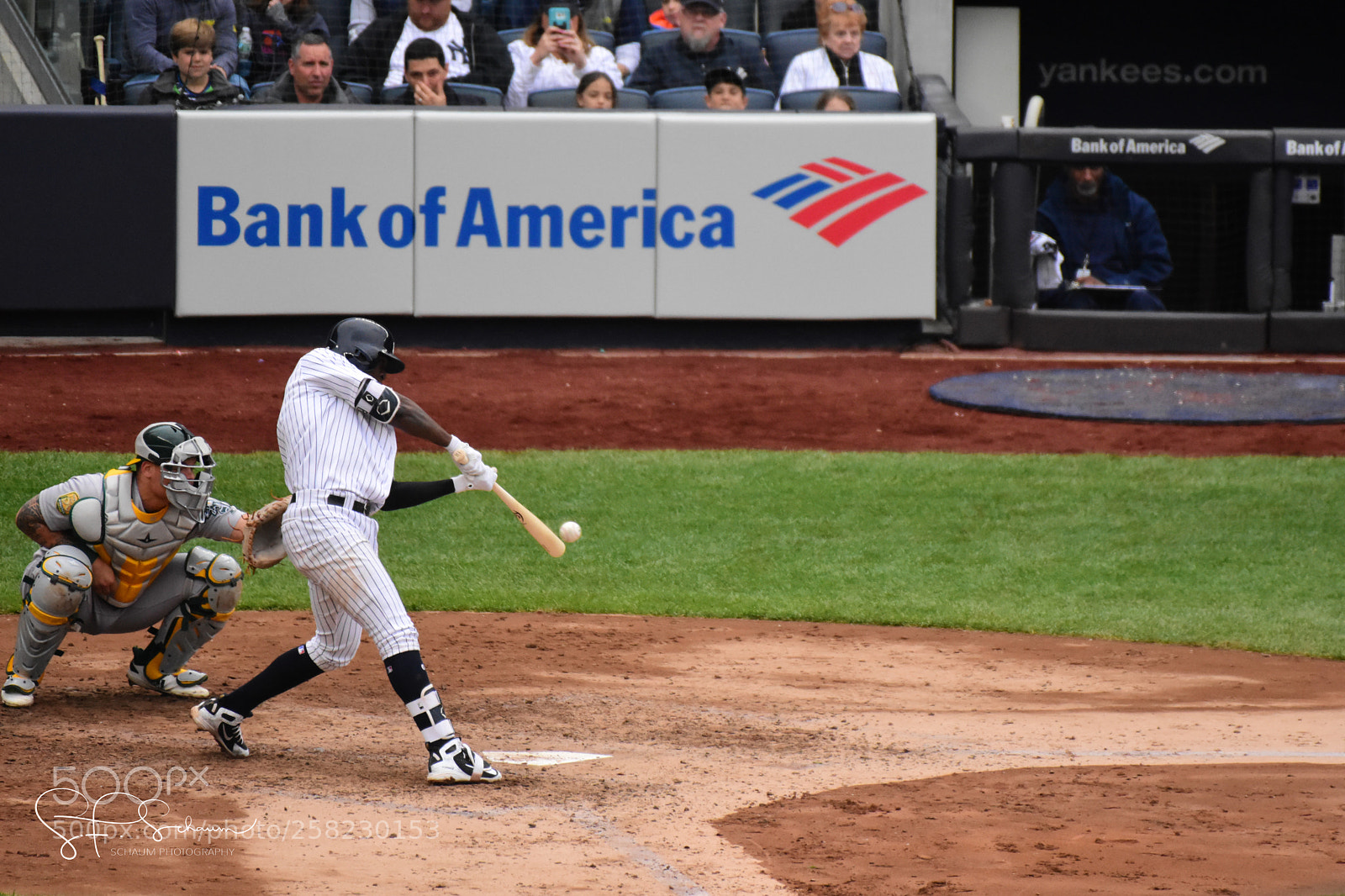 Nikon D7200 sample photo. Didi gregorius making contact photography