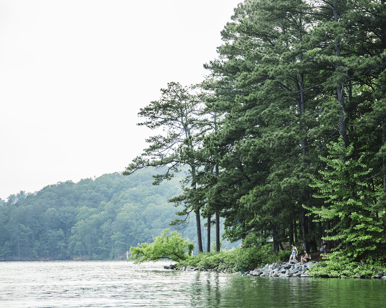 Canon EOS 6D Mark II sample photo. Mg photography