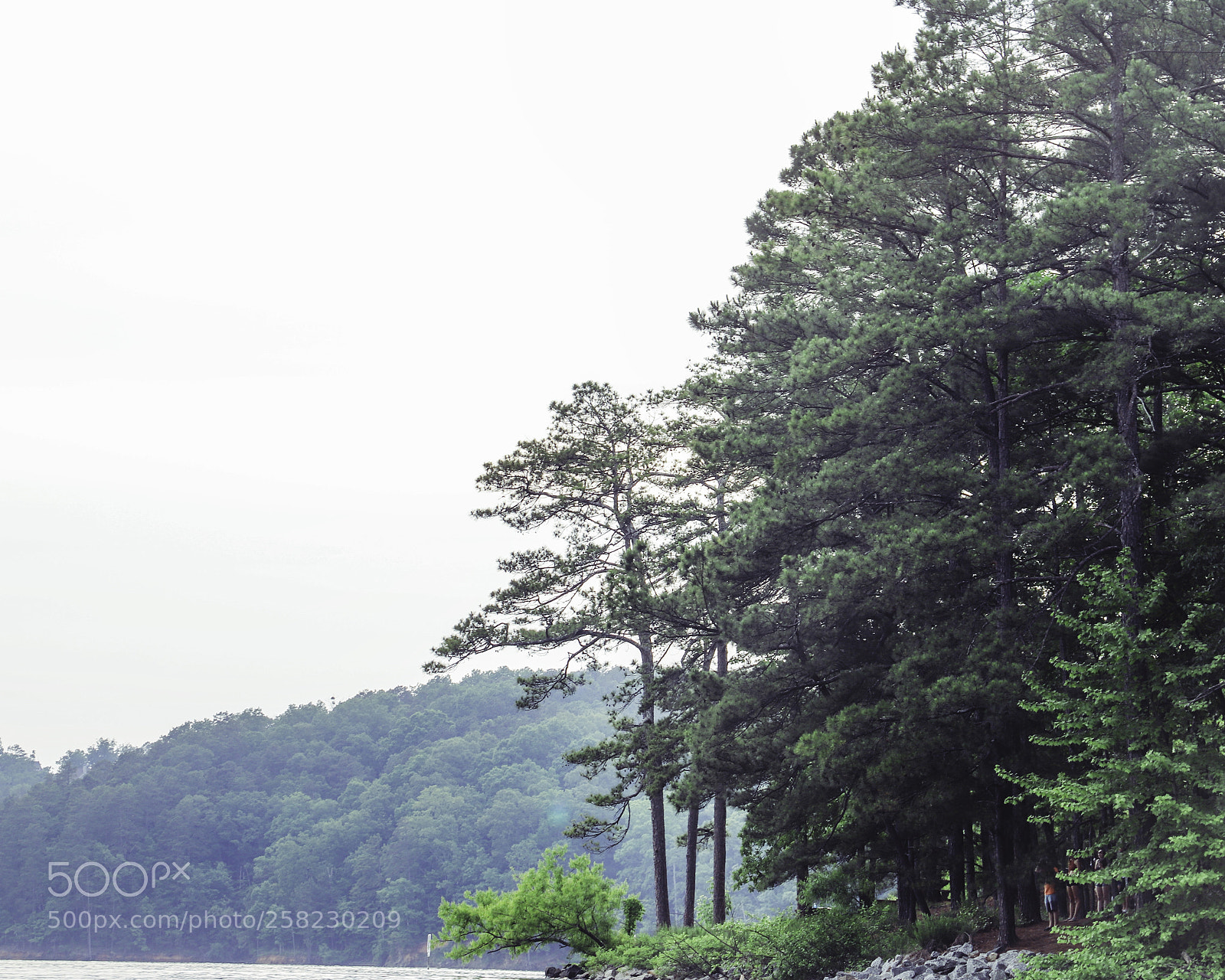 Canon EOS 6D Mark II sample photo. Copy photography