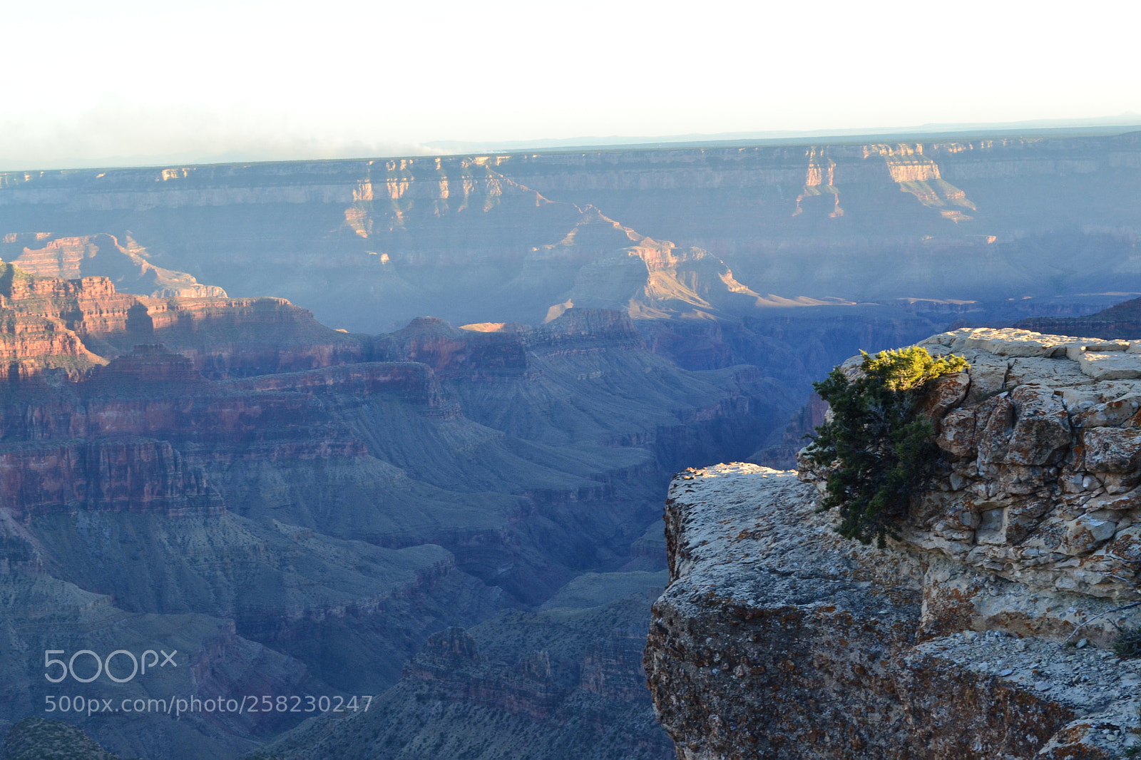 Nikon D3100 sample photo. Purple canyon sunset photography