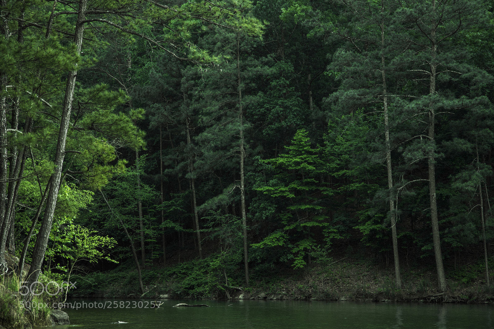 Canon EOS 6D Mark II sample photo. Nat geo photography
