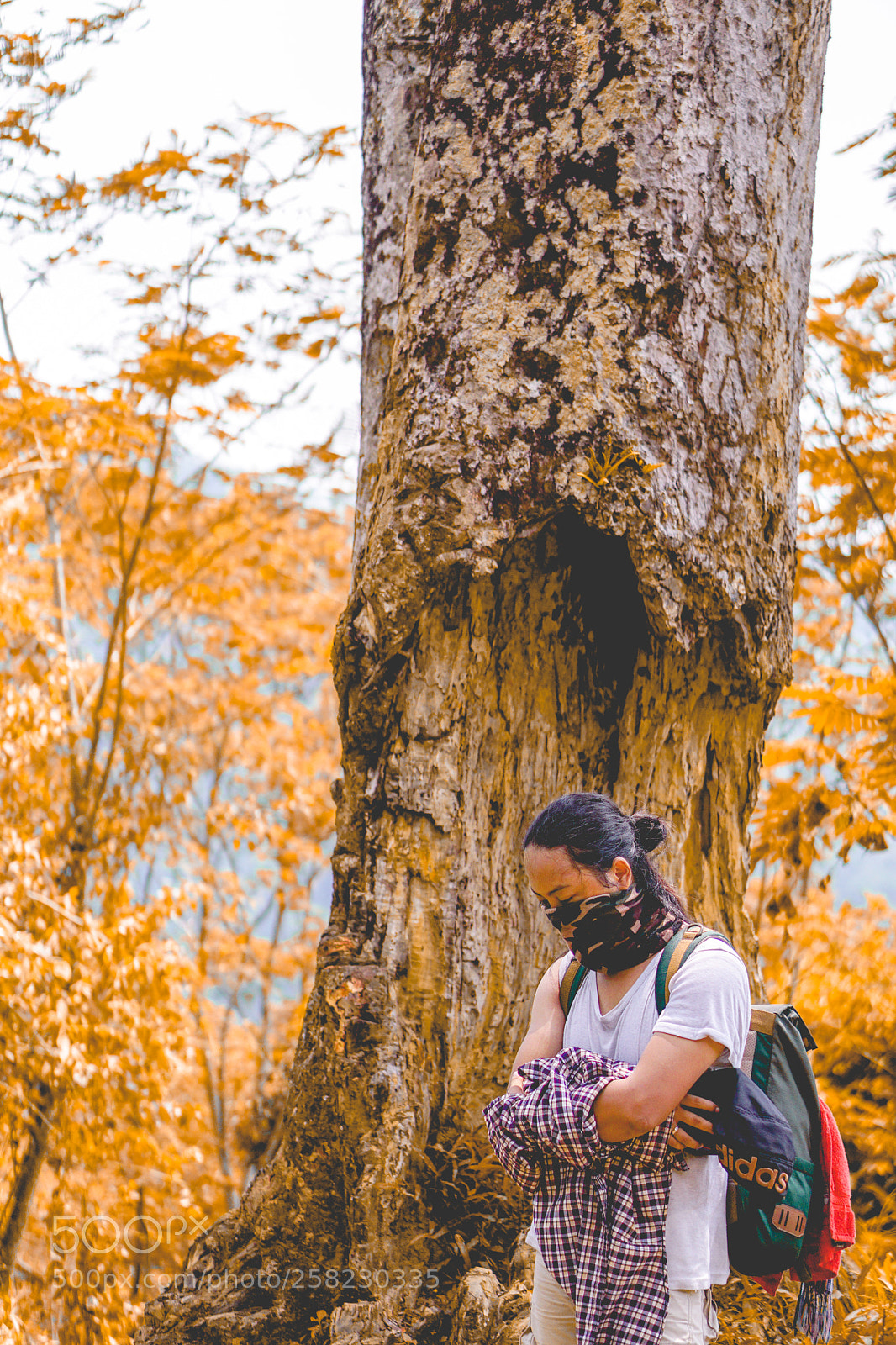Sony a6000 sample photo. Teman berjalan photography