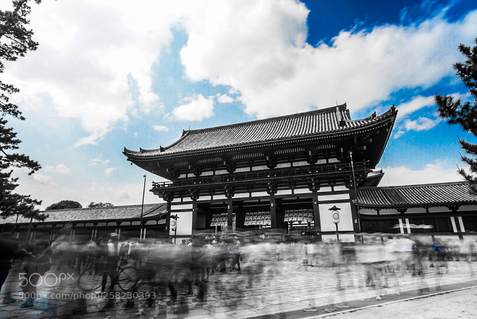 Sony a7 II sample photo. Osaka photography