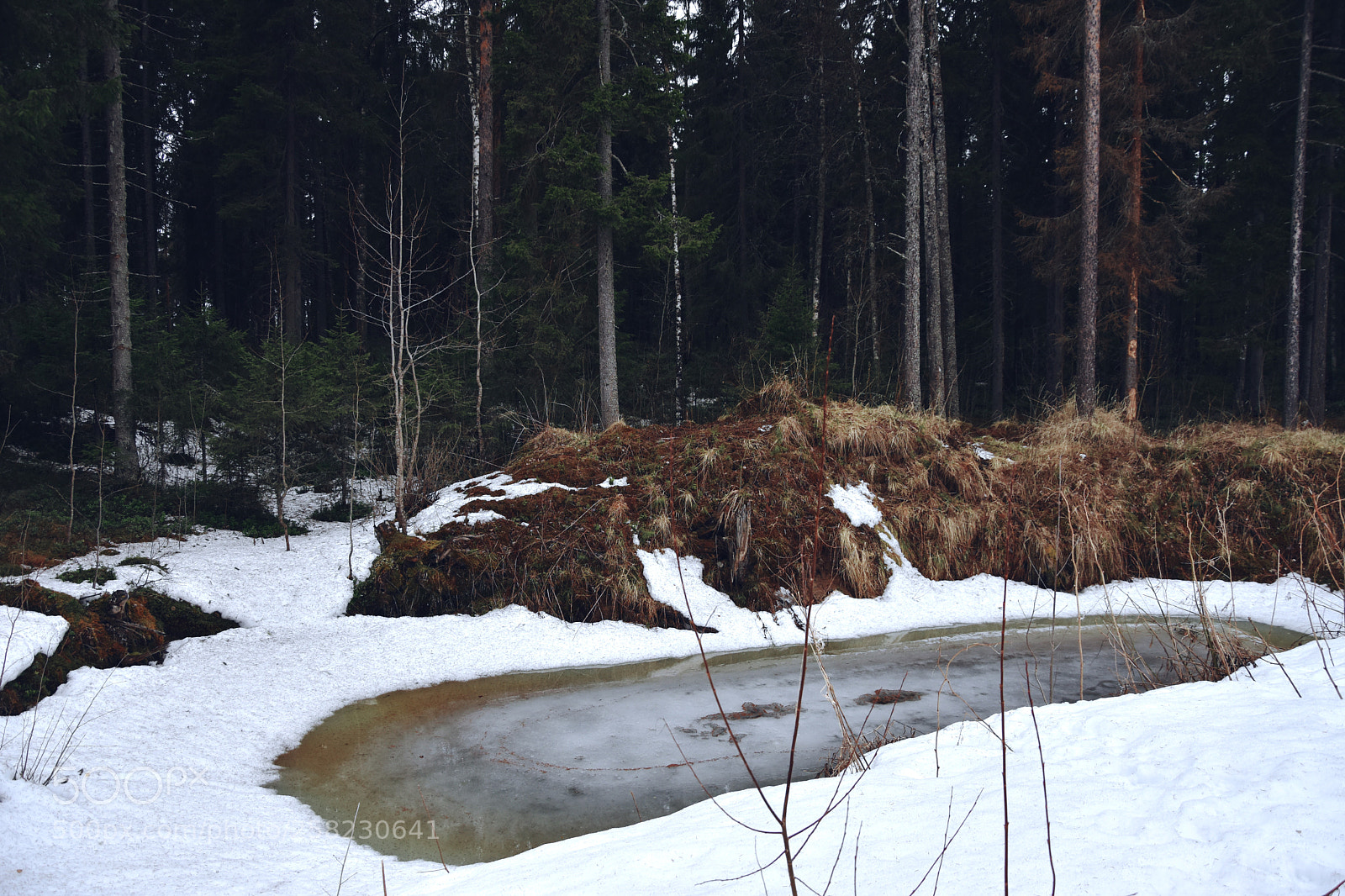 Nikon D7200 sample photo. Frozen lake photography