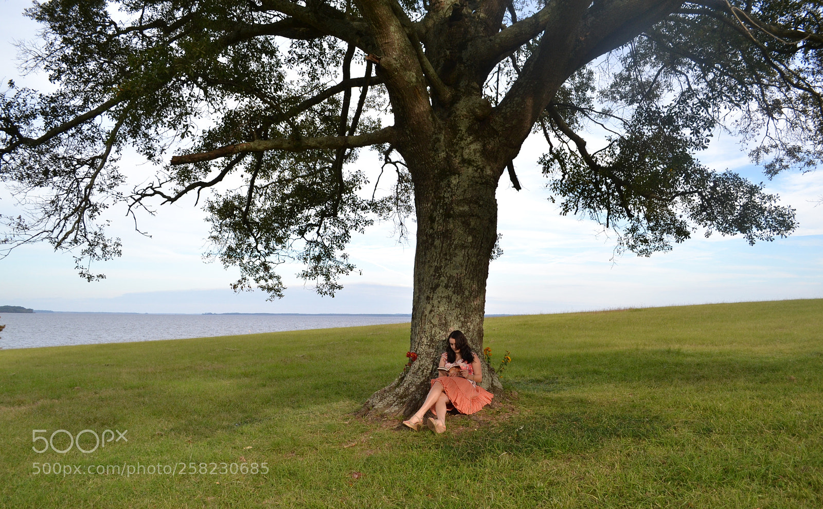 Nikon D3100 sample photo. Woman reading under lone photography