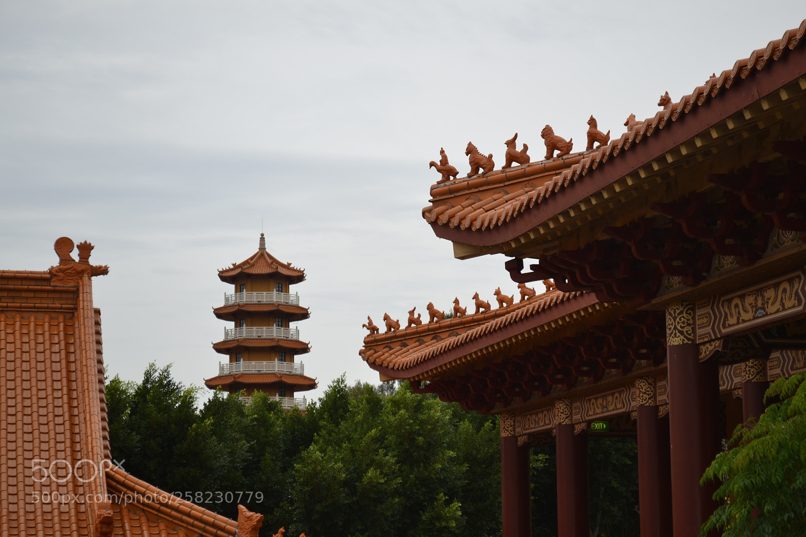 Nikon D3100 sample photo. Nan tien buddhist temple photography