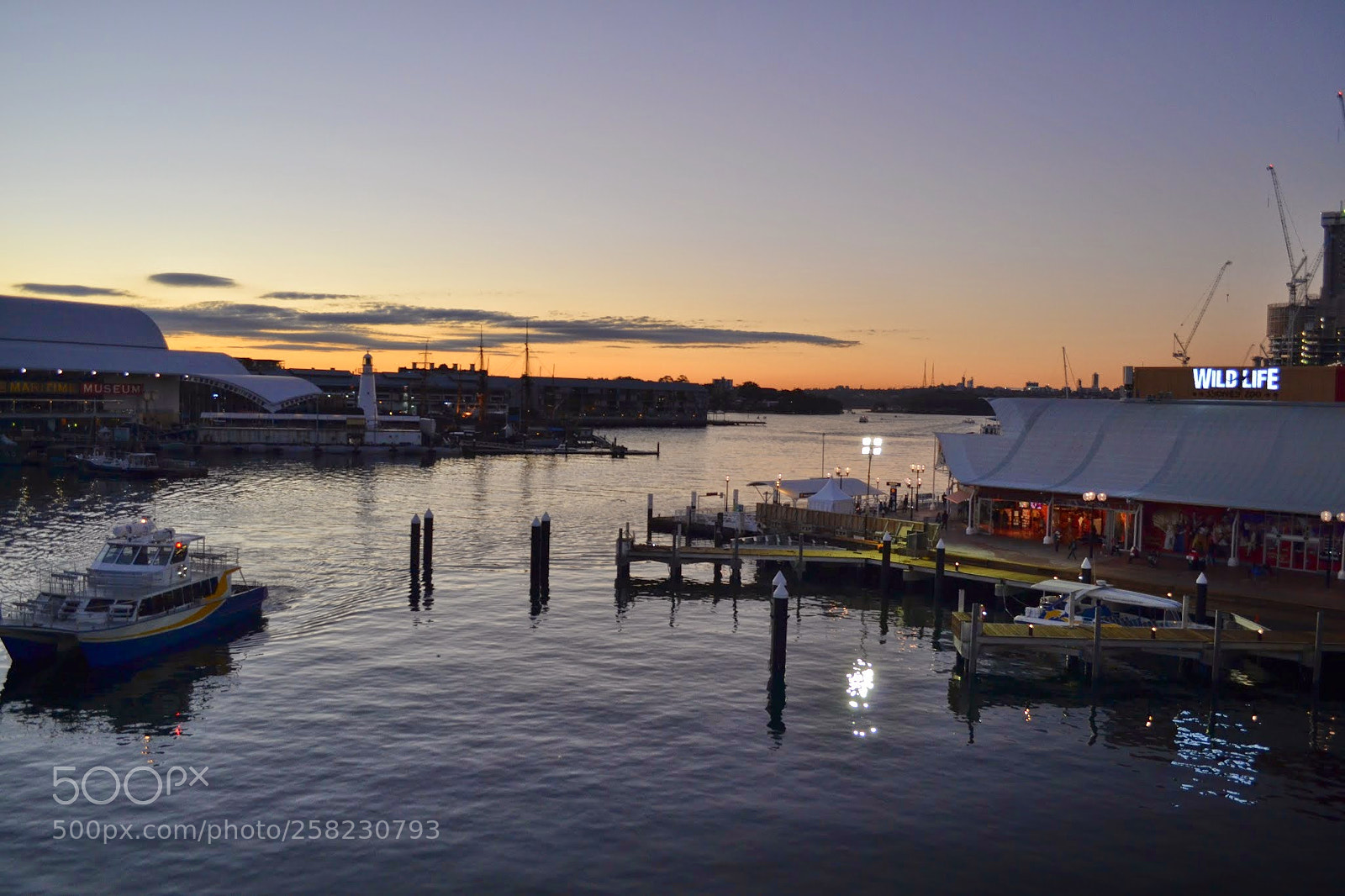 Nikon D3100 sample photo. Darling harbour sunset photography