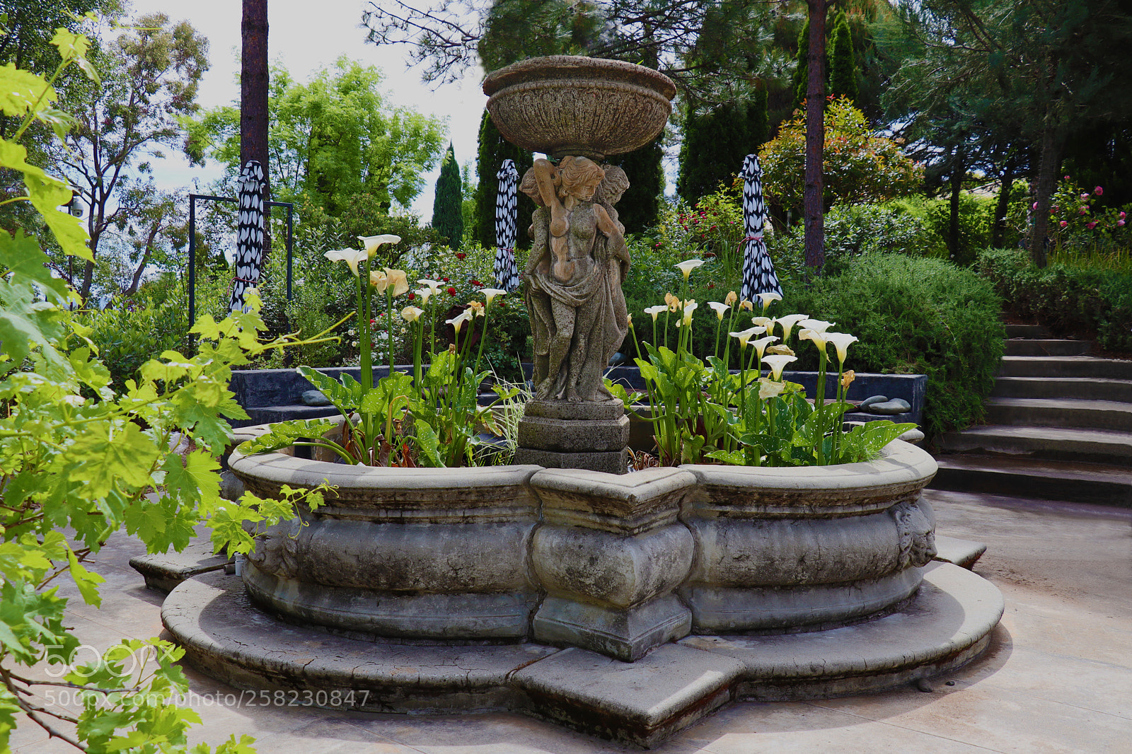 Canon EOS M50 (EOS Kiss M) sample photo. Three graces photography