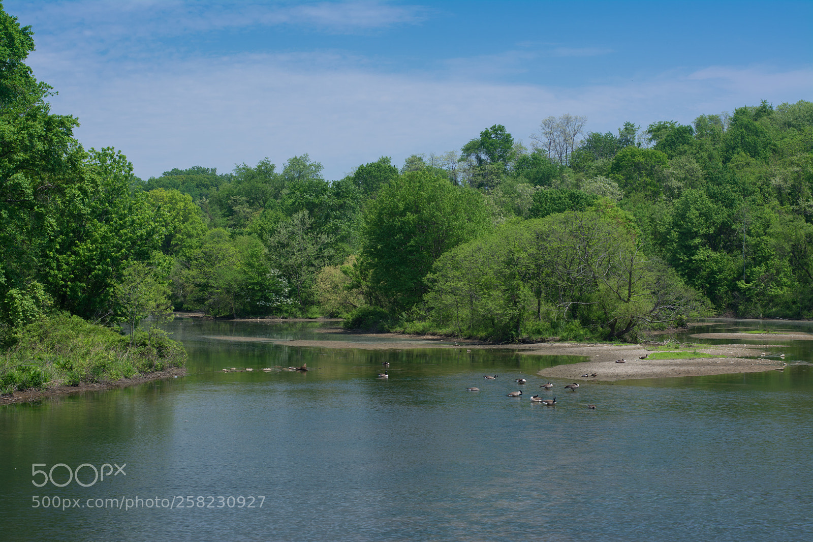 Nikon D5200 sample photo. Oerlook photography