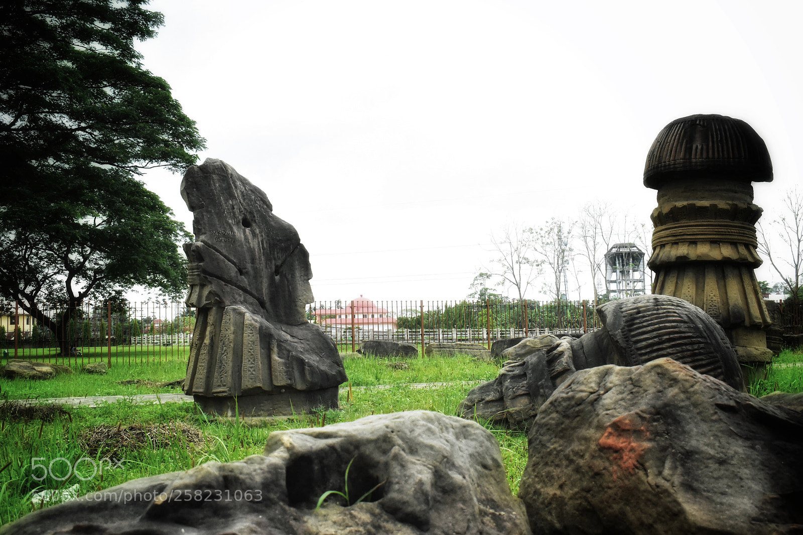 Nikon D3400 sample photo. The throne after the photography