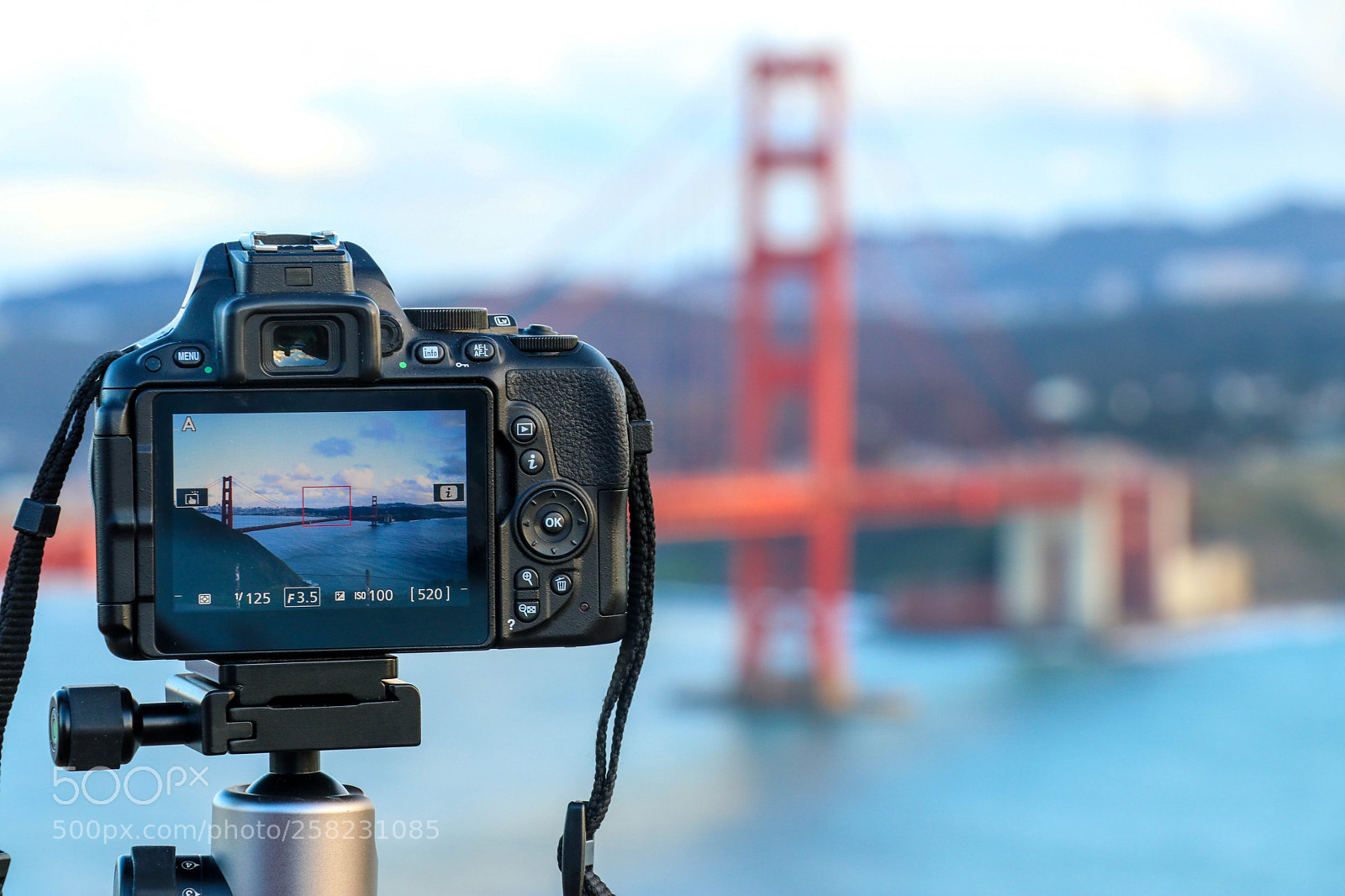 Canon EOS 80D sample photo. Golden gate photography