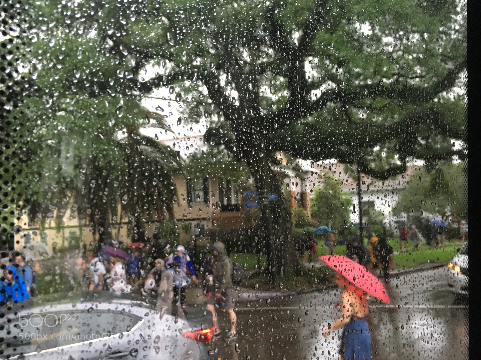 Apple iPhone 6s sample photo. Rain in nola photography