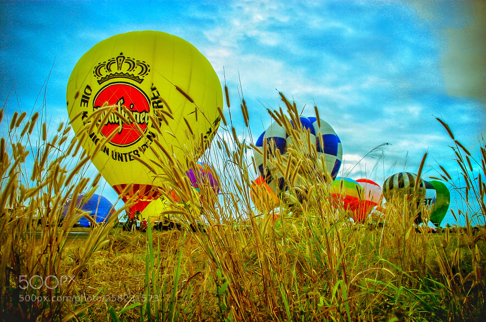 Canon EOS 10D sample photo. Baloon photography