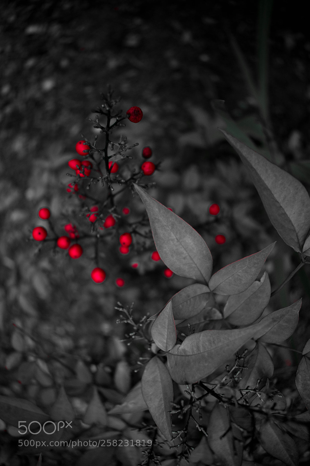 Nikon D3400 sample photo. Untitled photography
