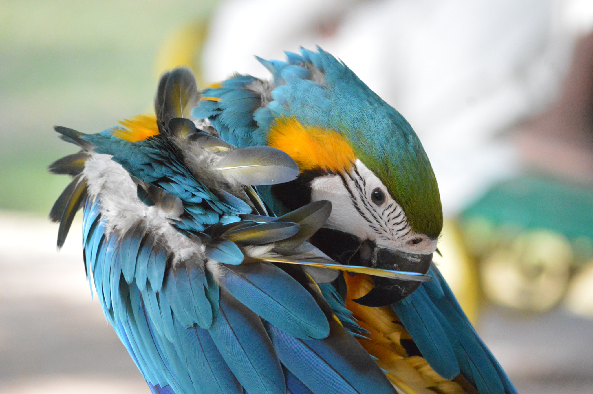 Nikon D3200 sample photo