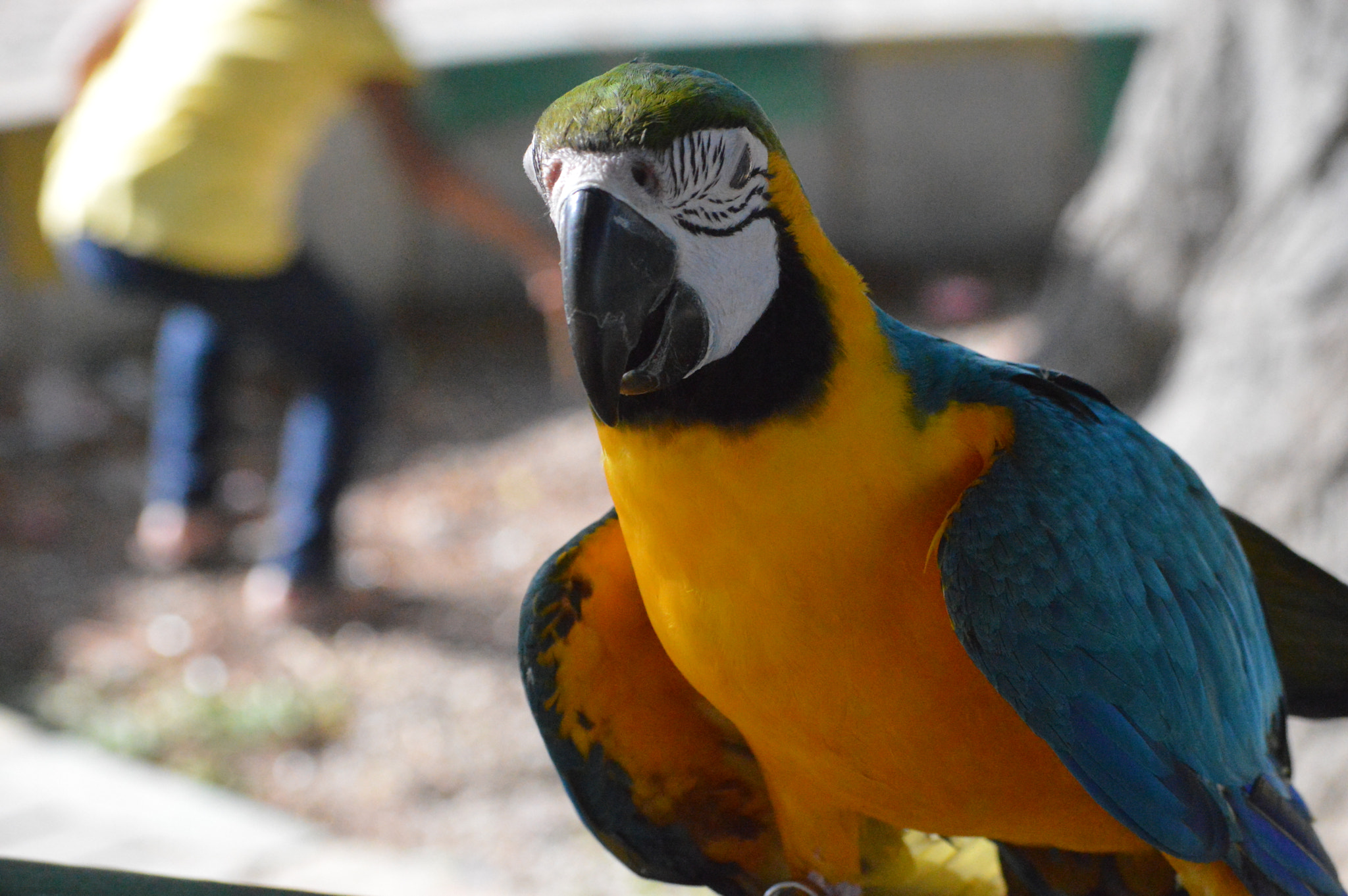 Nikon D3200 sample photo