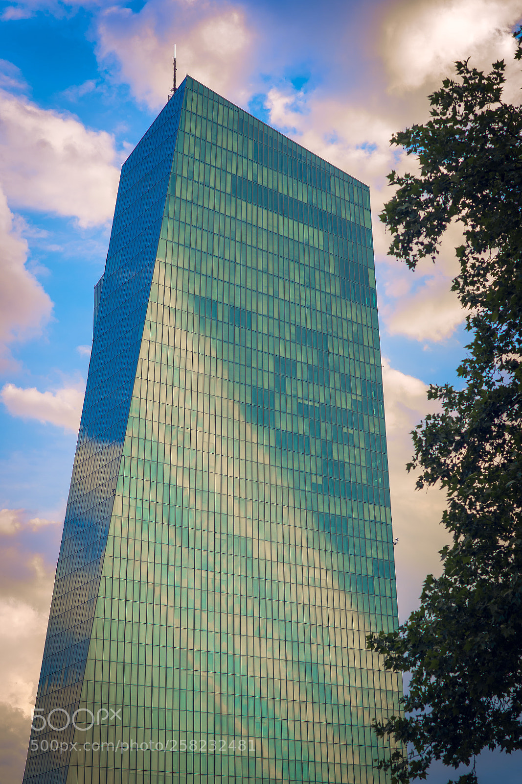 Nikon D5 sample photo. Evening @ ecb photography