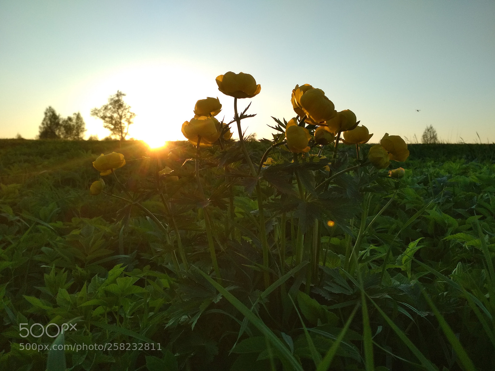 Xiaomi Redmi 4X sample photo. Закат photography
