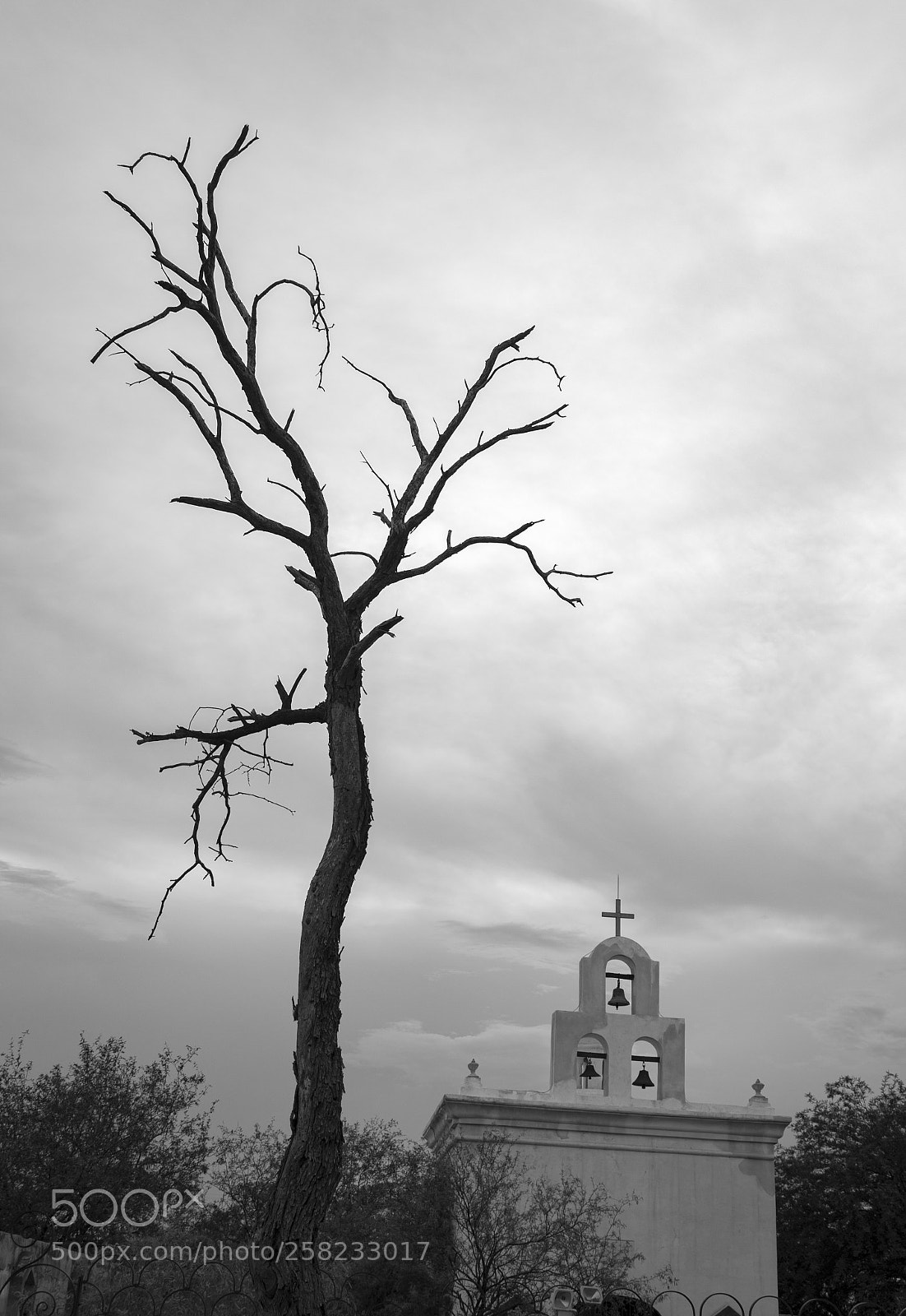 Canon EOS 1200D (EOS Rebel T5 / EOS Kiss X70 / EOS Hi) sample photo. Tucson, 2017 photography