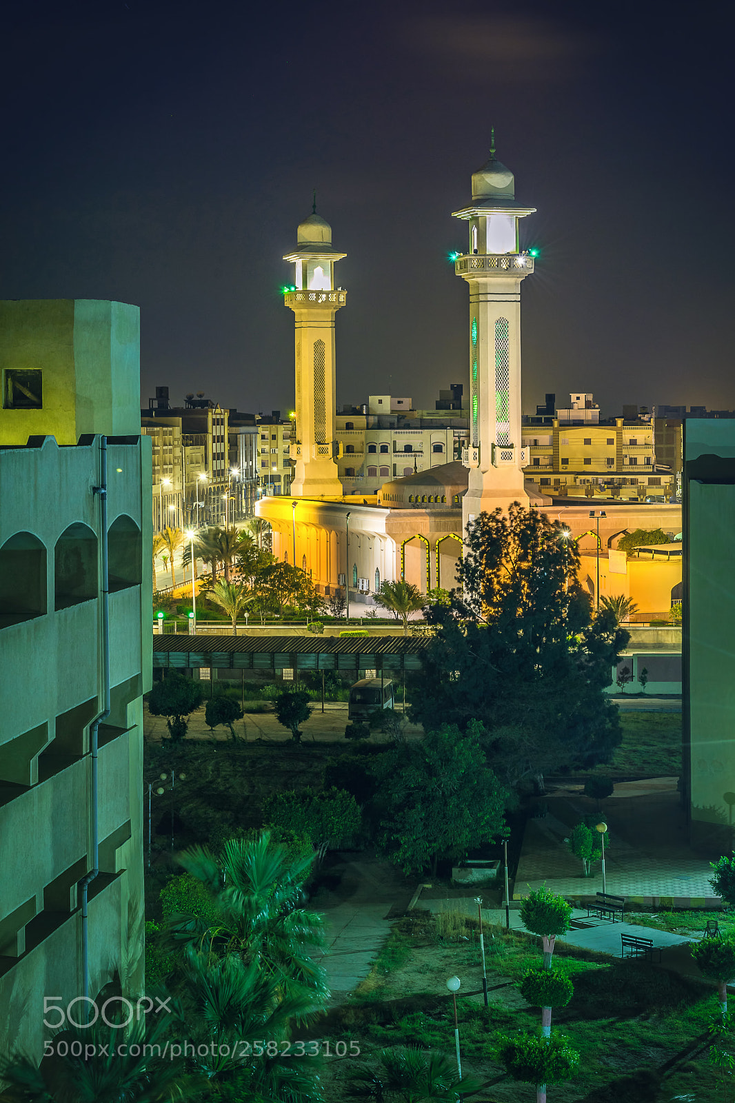 Nikon D5500 sample photo. Great mosque at night photography