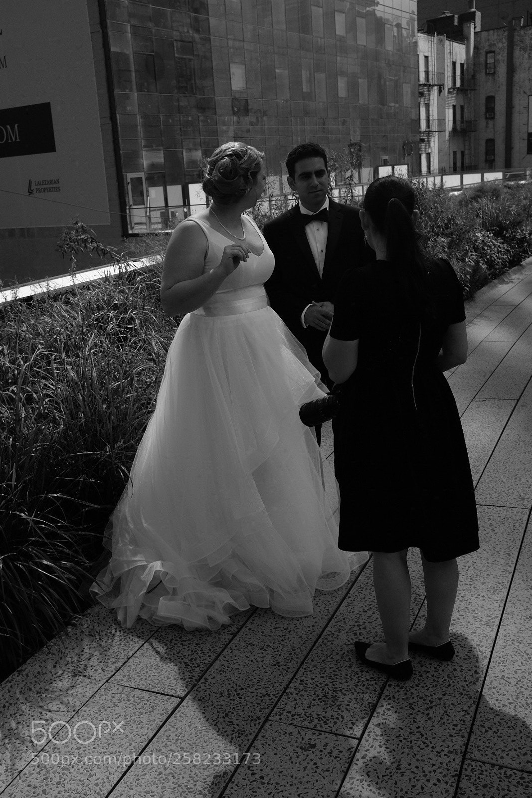 Fujifilm X100T sample photo. High line, nyc photography