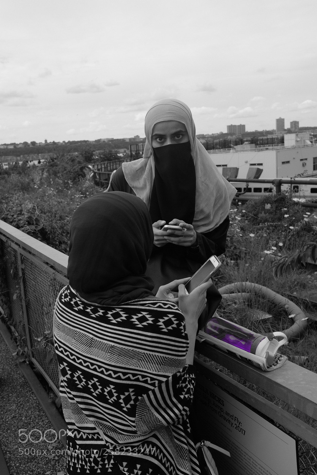 Fujifilm X100T sample photo. High line, nyc photography