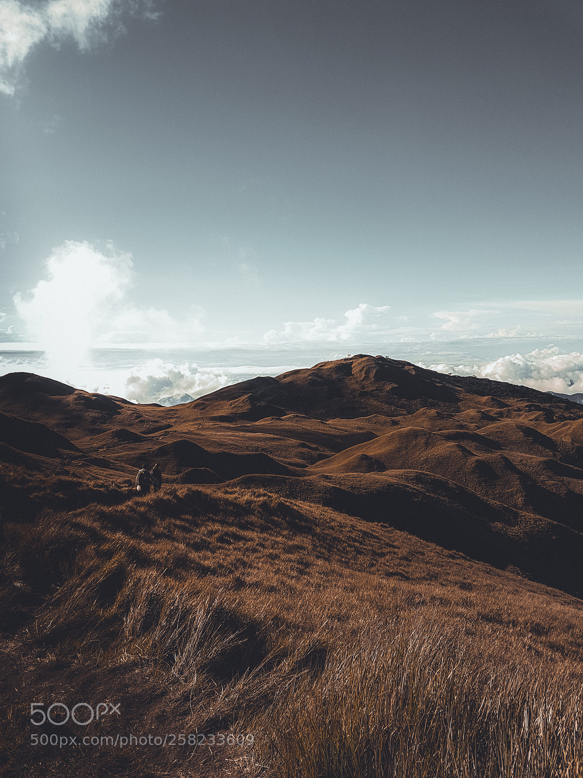Samsung Galaxy S7 sample photo. Mt. pulag photography