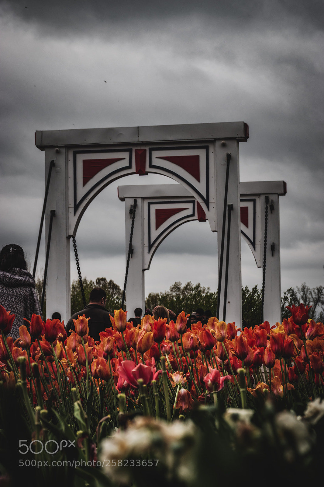 Nikon D5600 sample photo. Untitled photography