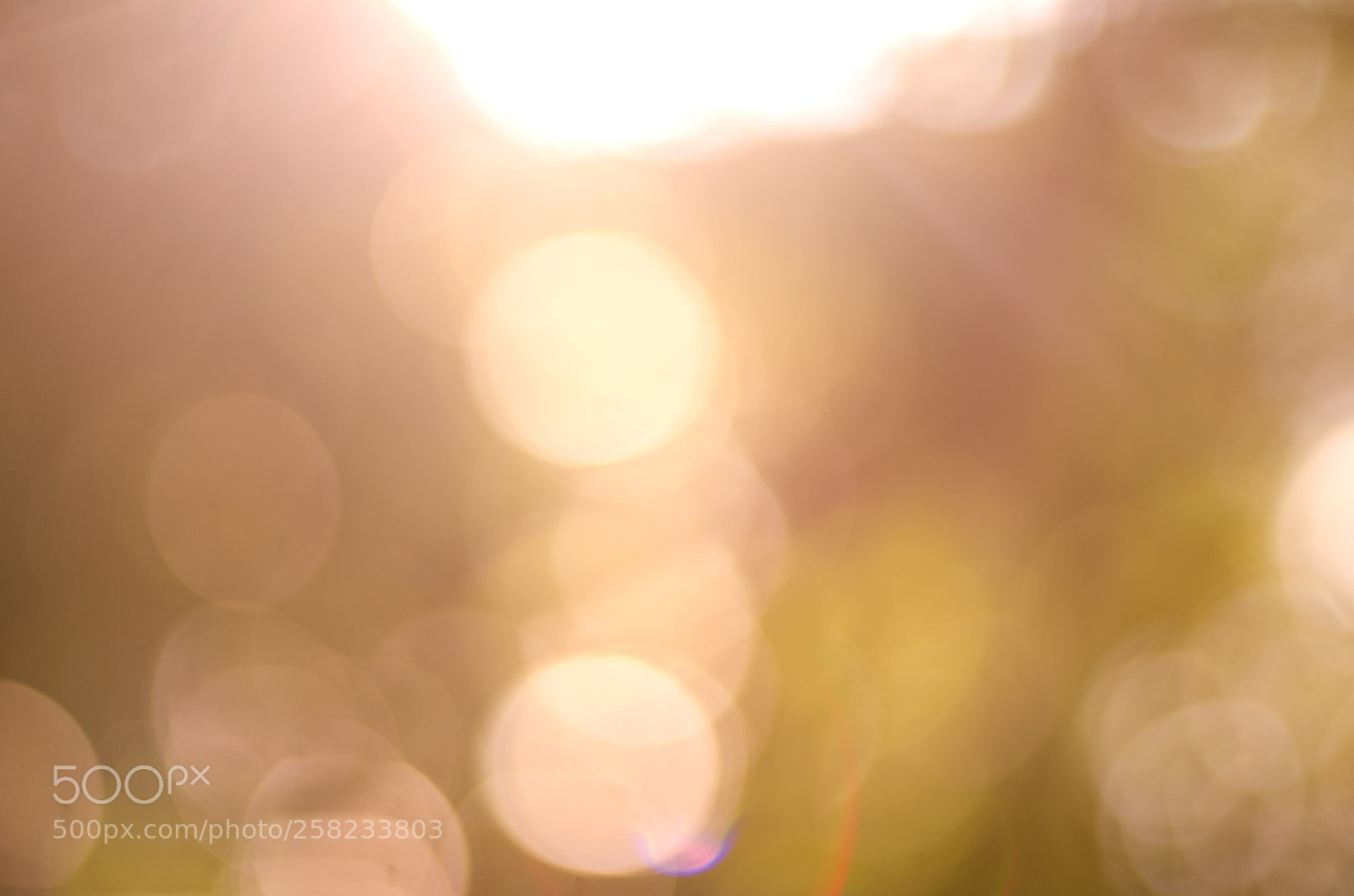 Nikon D7000 sample photo. Sun photography