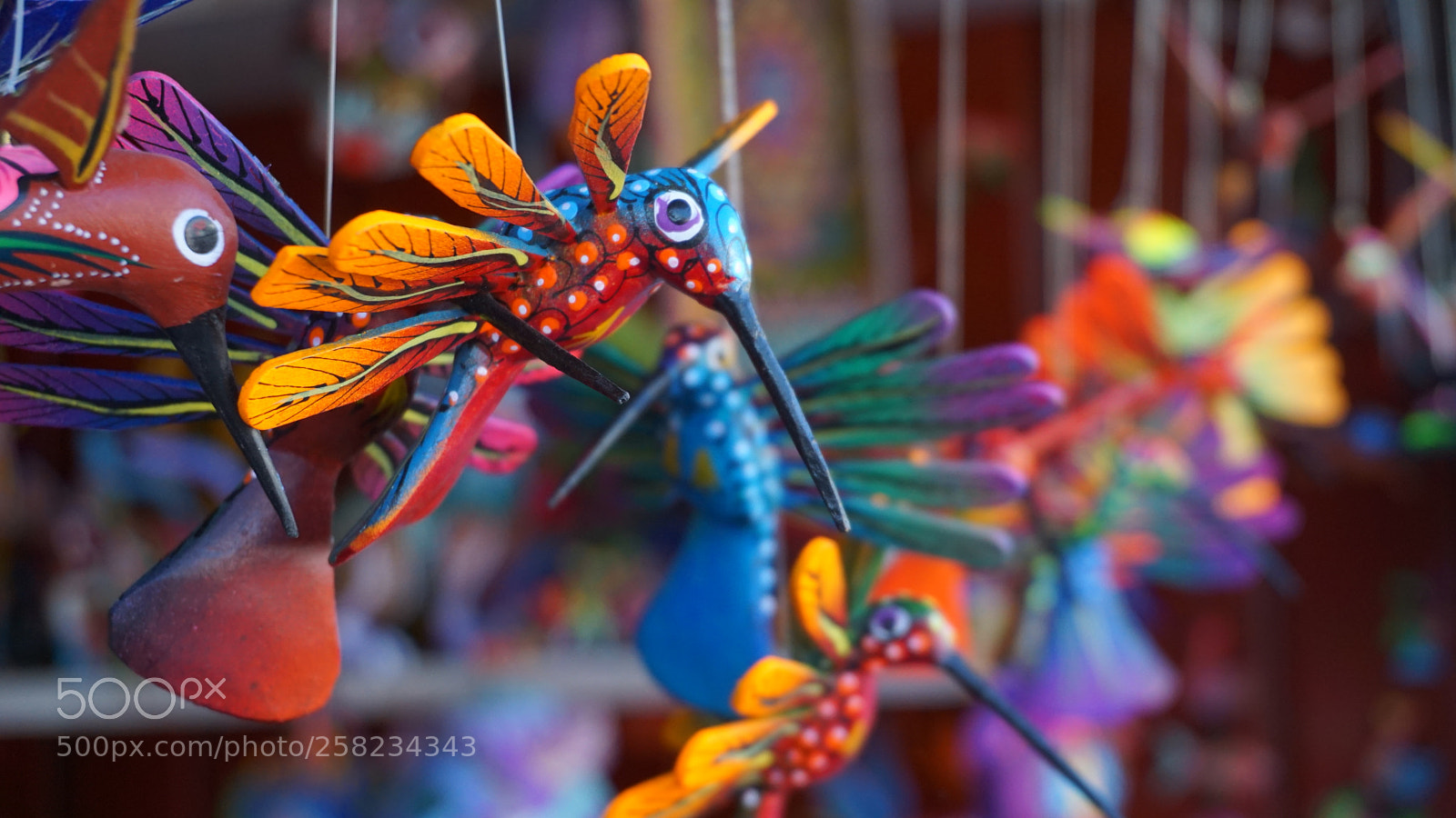 Sony a6000 sample photo. Colorbird photography