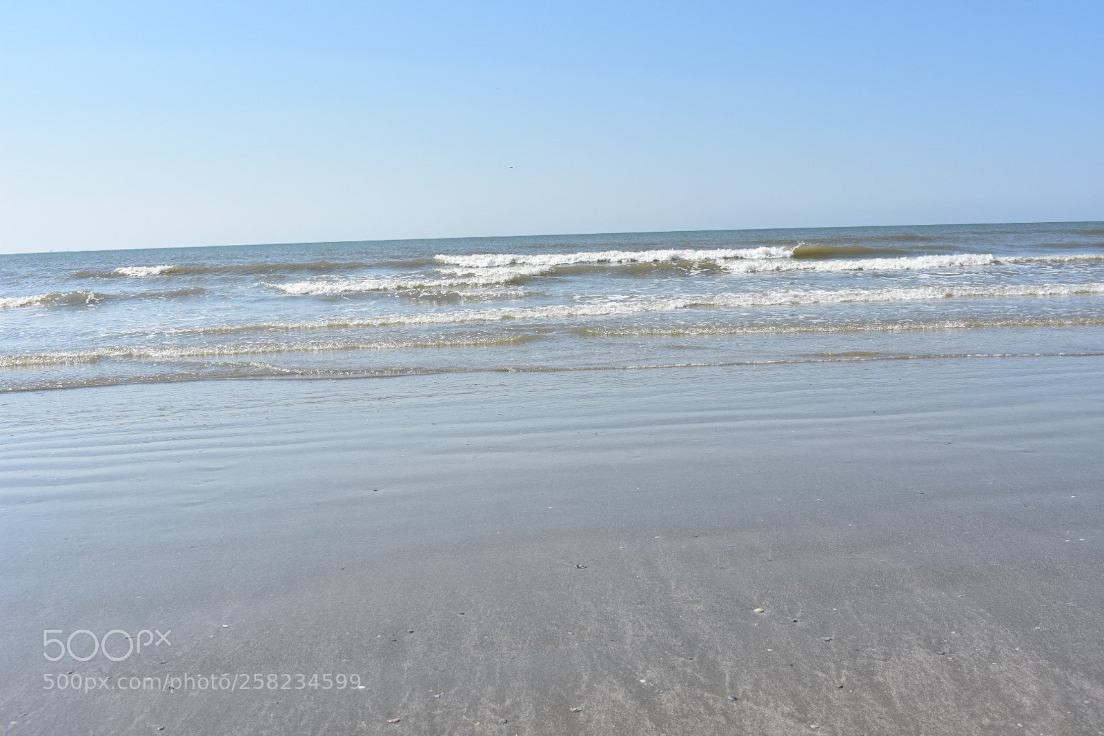 Nikon D3400 sample photo. Untitled photography