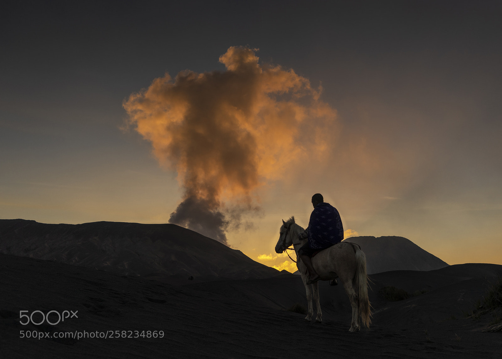 Sony a7 sample photo. A horseman in the photography