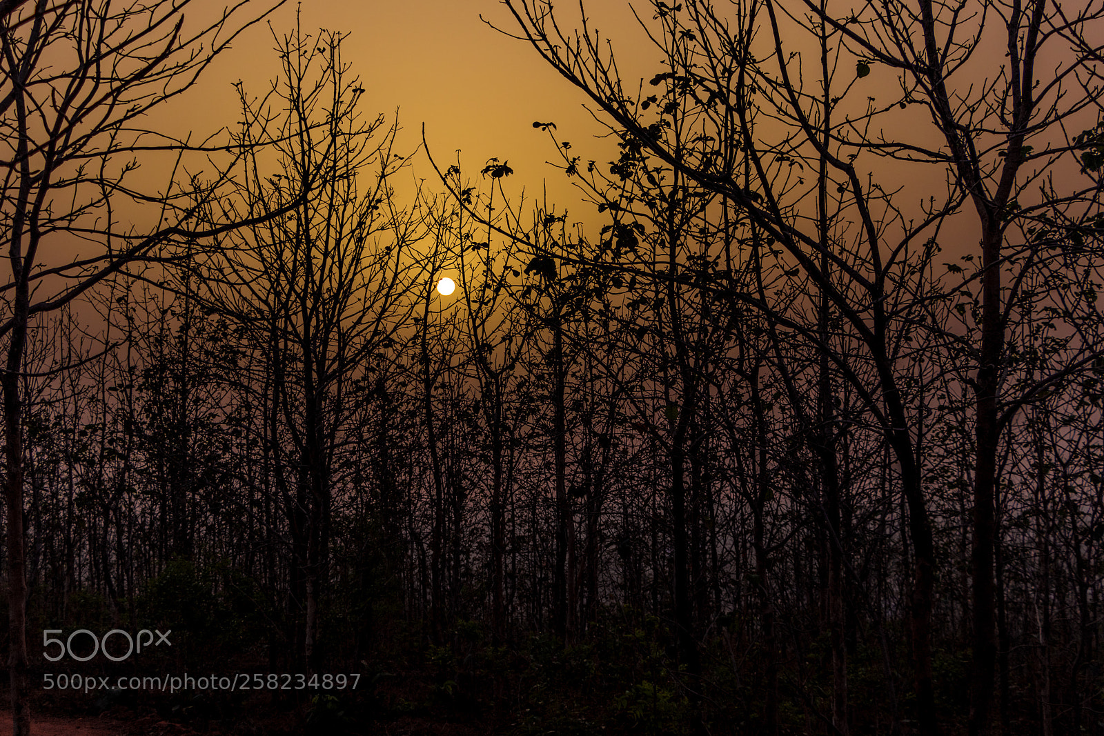 Canon EOS 80D sample photo. Beautiful sunset photography