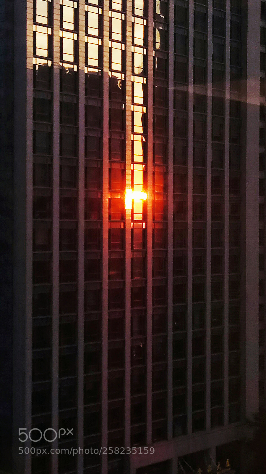 Xiaomi Redmi Note 4 sample photo. Untitled photography