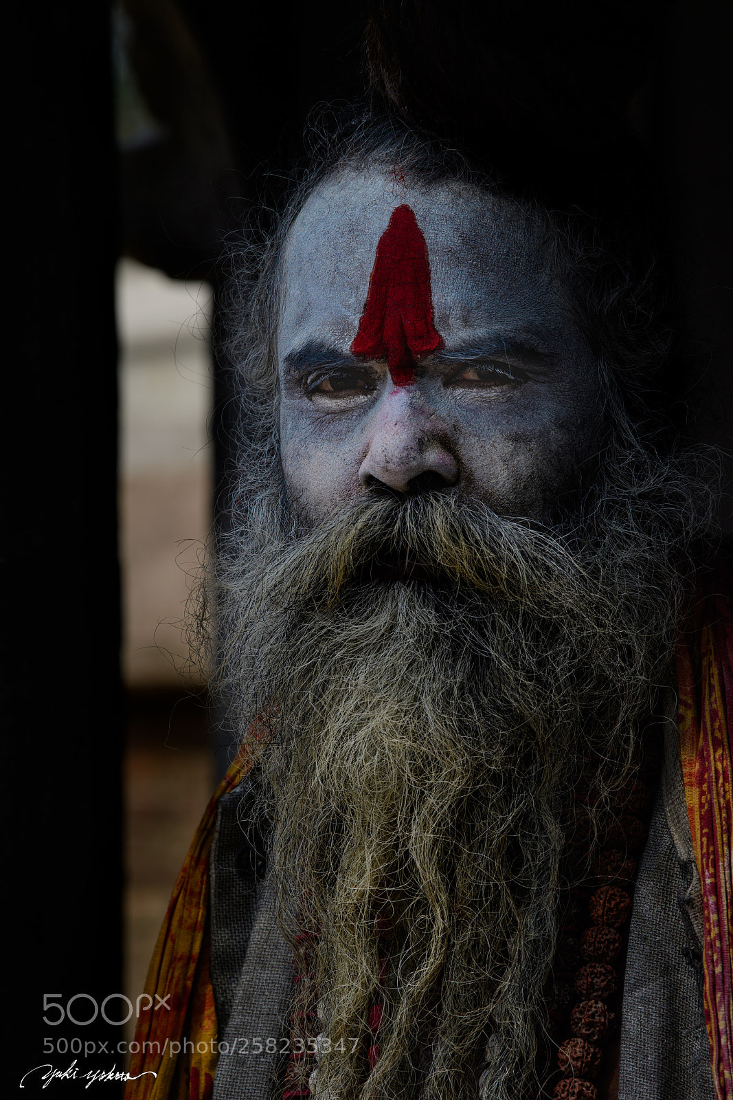 Nikon D5 sample photo. Monk photography