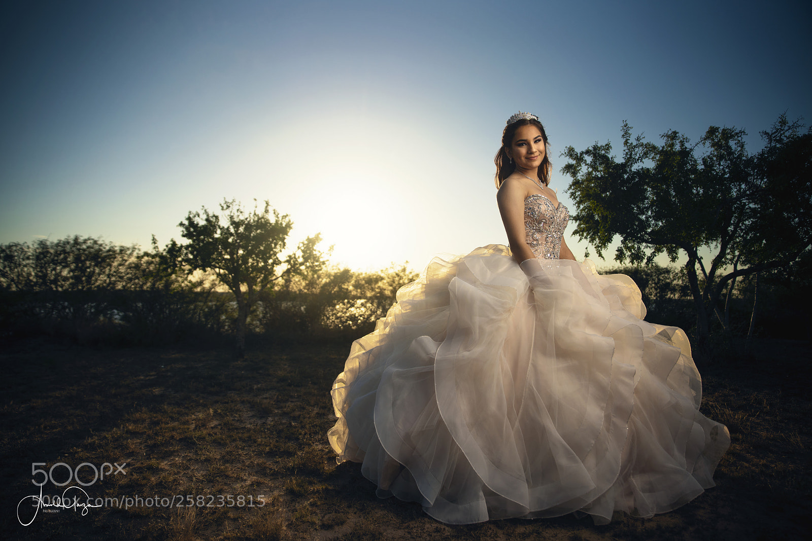 Sony a7R III sample photo. Agp photography