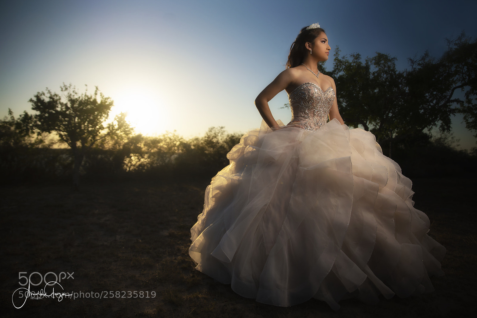 Sony a7R III sample photo. Agp photography