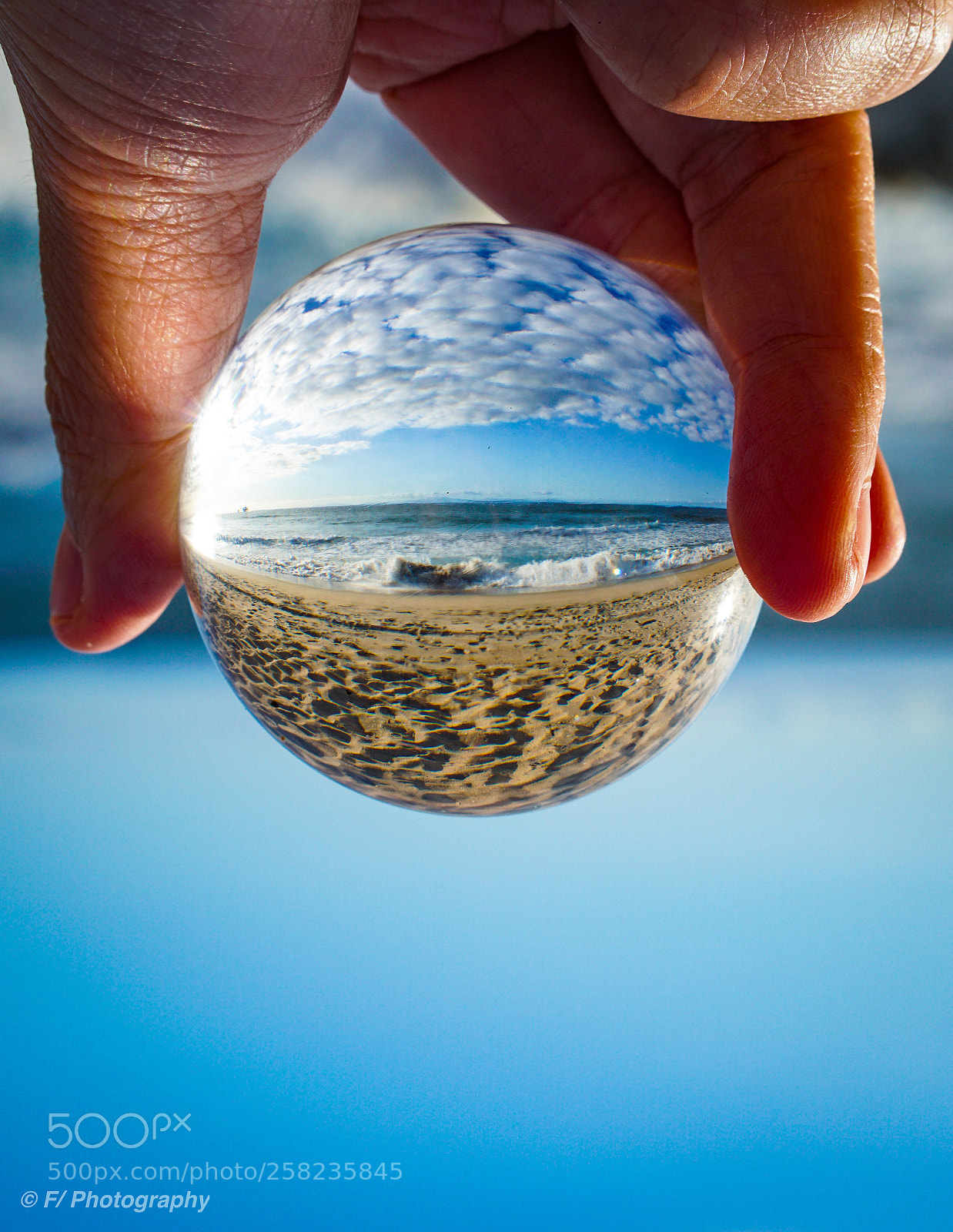 Sony a6300 sample photo. Gazed upon summer photography