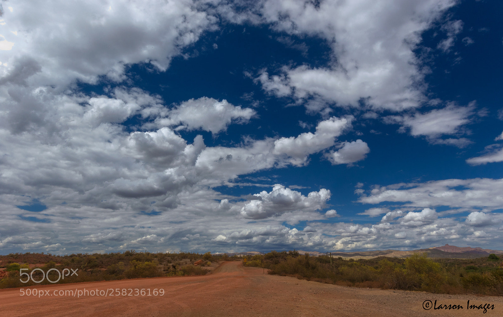 Canon EOS 7D Mark II sample photo. Southern arizona photography